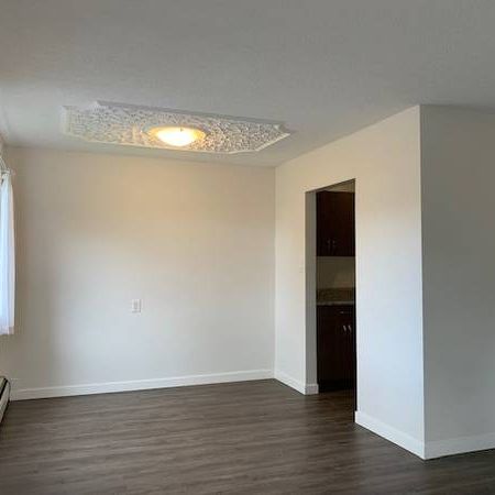 Vacant & Available Now 2 Bedroom - Photo 4