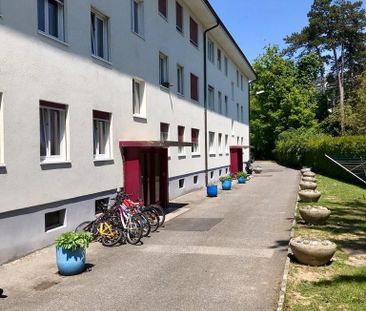A saisir ! Magnifique logement au coeur de Versoix ! - Foto 1