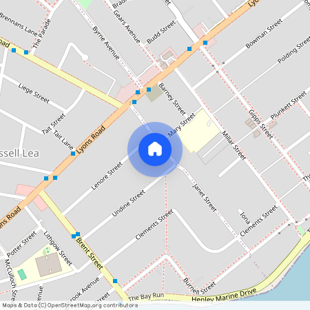 41 Janet Street Russell Lea NSW, Inner West