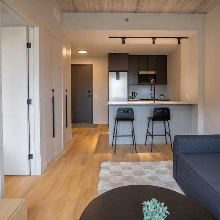 3 1/2 APPARTEMENT MEUBLÉ À LOUER - Photo 4
