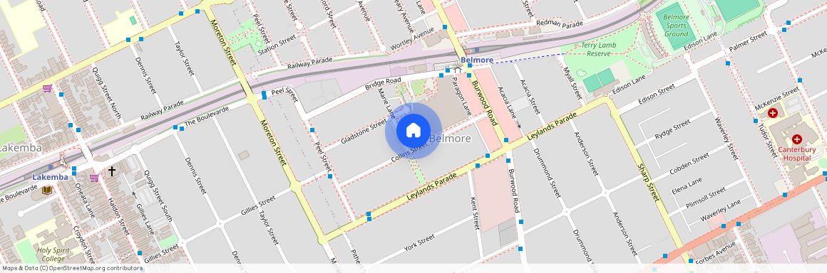 29 Collins Street, NSW 2192, Belmore