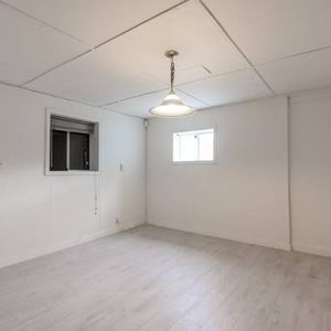 spacious 1 bedroom basement suite - Photo 2