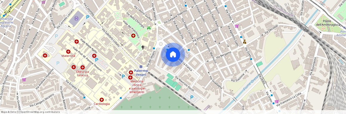 Palermo, Via Vincenzo Piazza Martini - Policlinico