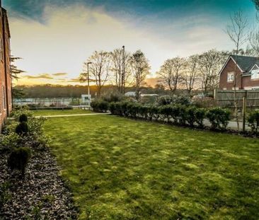 Coopers Meadow - Photo 6