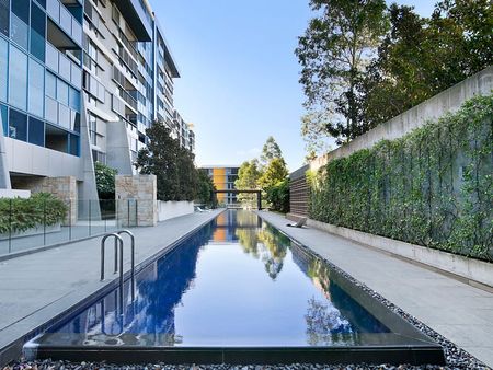 308/5 Sterling Circuit, Camperdown NSW 2050 - Apartment For Rent | Domain - Photo 4