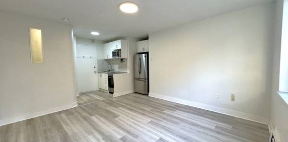 140 SPRINGHURST AVE. #14 - NEWLY RENO'D STUDIO/1BATH, MINUTES TO TTC - Photo 2