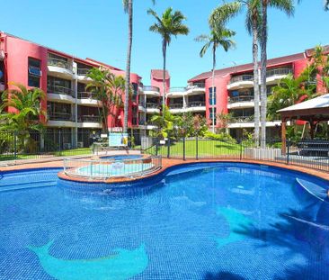 1 bedroom updated apartment surrounded by lush gardens & pool area - Photo 4