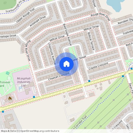 48 Cheetah Crescent, Toronto