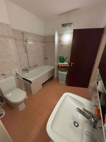 Miete Erdgeschosswohnung in Cassarate - Photo 2