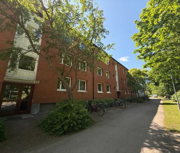 Arvid västgötes gata 15 A Oxhagen, Kalmar - Foto 6
