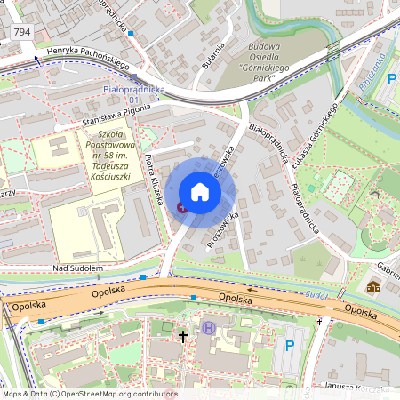 ul. Pleszowska, Prądnik Biały Zachód, Prądnik Biały, Kraków, małopolskie