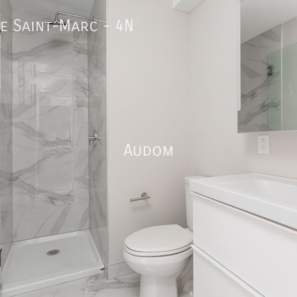 2205 Rue Saint-Marc - 4N - Photo 1