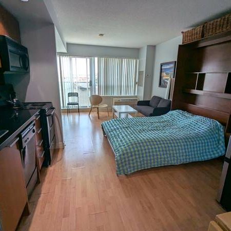 Furnished Bachelor Utilities & Parking included - Photo 3