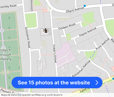 Tinkers Drove Wisbech - Photo 1
