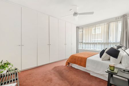 Courtyard! Courtyard! Courtyard! - Photo 4