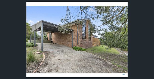 Jan Juc Beach House Charmer - Photo 1