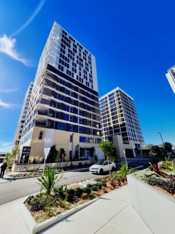 2 bed 1 bath-511 - Photo 4