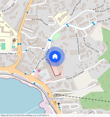 CORSE-DU-SUD (2A), AJACCIO (20090)