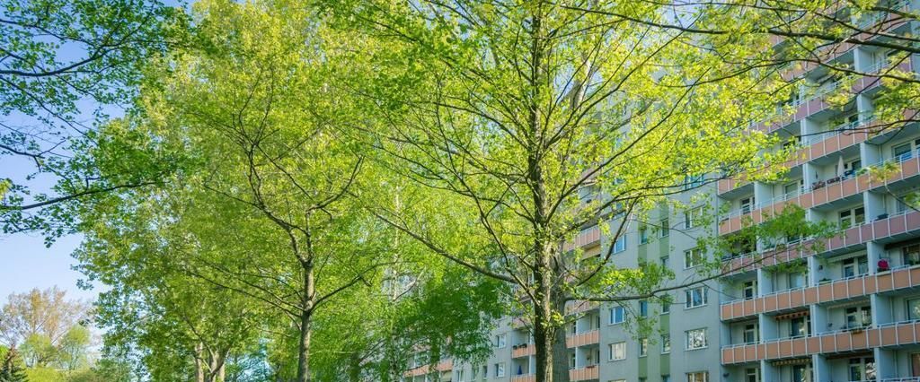 3-Raum-Wohnung - Photo 1