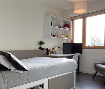 Studio to rent - Photo 4