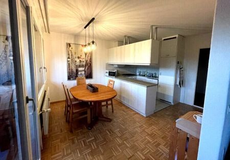 31/2-ROOM APARTMENT IN BREMGARTEN B. BERN (BE), FURNISHED, TEMPORARY - Photo 3