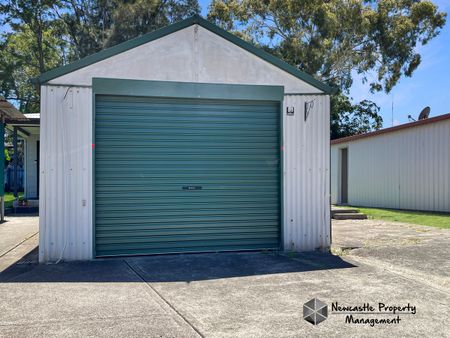 339 Maitland Road, Mayfield West - Photo 5