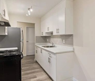- 1 Bedroom at Eighty Nine Collins Apartments - Photo 5