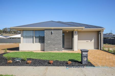 20 Polo Drive, Mount Barker SA 5251 - House For Rent - $600 | Domain - Photo 4