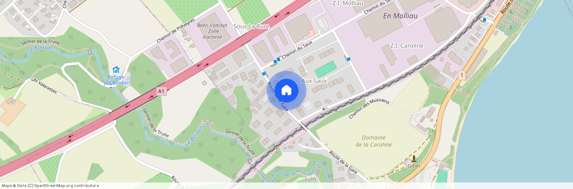 1131, Tolochenaz, Route De La Petite Caroline, 3c