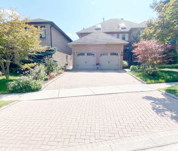 For Lease - 347 Fern Avenue Unit# Bsmt Room, Richmond Hill, Ontario - Photo 6