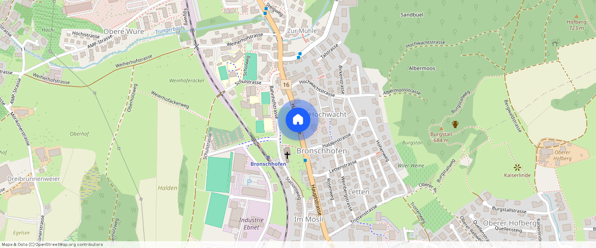 Bildfeldstrasse 4A, 9552 Bronschhofen, Schweiz