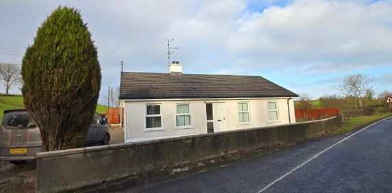 227 Tummery Road, Irvinestown, Omagh, BT78 3UF - Photo 2