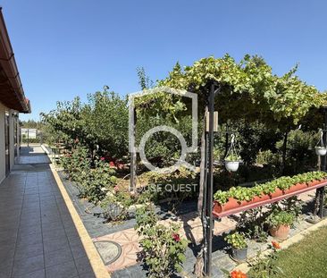 Μονοκατοικία για ενοικίαση Μελισσοχώρι (Μυγδονία) - Photo 2