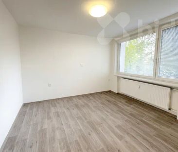 Pronájem bytu 3+1 v České Budějovice, Pražské Předměstí - Photo 3