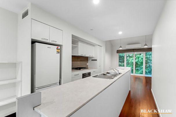 8 Bluebell Street, O'Connor ACT 2602 - House For Rent | Domain - Photo 1