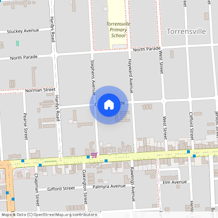 101 Carlton Parade, SA 5031, Torrensville