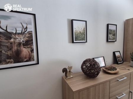 Pronájem bytu 2+kk 48 m2 - Fotografie 4