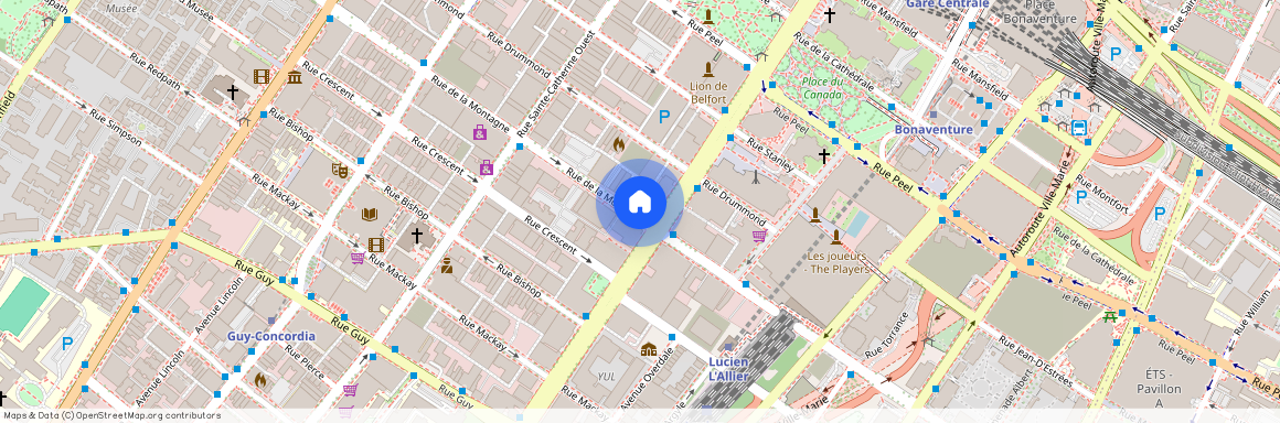 225 De la montagne, Ville-Marie, Ville-Marie, Ile de Montréal, H3G 1Z2