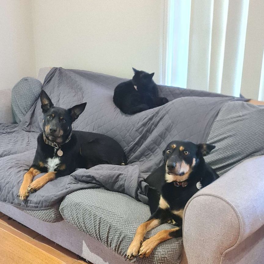 Altona Meadows - Photo 1