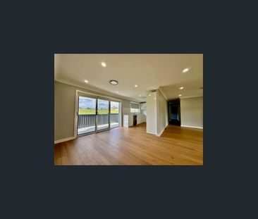 Renovated Home with Rural Outlook & Large Paddock - Photo 3
