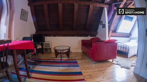 Studio apartment for rent in Portobello, Dublin - Photo 1