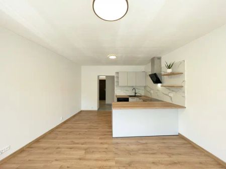 Pronájem 1+kk, 34,1 m - Fotografie 3