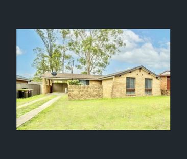 THREE BEDROOM HOME IN GREAT LOCATION! - Photo 4