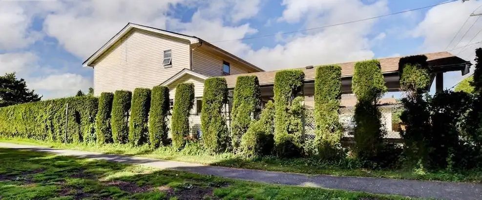6426 WILLIAMS ROAD — 3 Bedroom - Photo 1