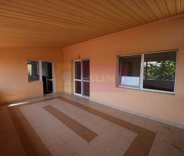 Vila Clinceni - Ciorogirlei. - Fotografie 4