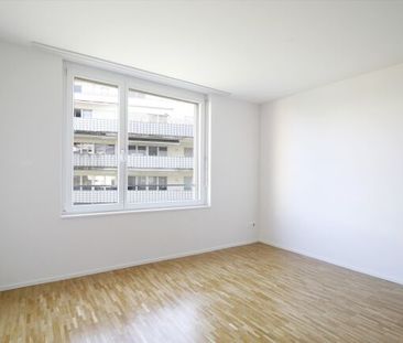 Living is enjoying the nearby lake - Photo 5