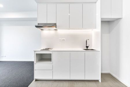 14/8 Baldwin Street, Erskineville NSW 2043 - Studio For Rent | Domain - Photo 4