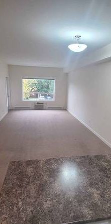 1 Bedroom Large, Bright, Clean Condo - Photo 1