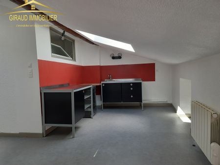Location Appartement 2 pièces 38m² CHARLIEU 42190 - Photo 2