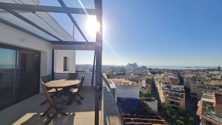 12 Carrer del Bisbe Campins, Palma de Mallorca, Balearic Islands 07012 - Photo 3